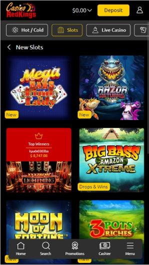 2024's phoenix and the dragon slot online casino Better Real money Position Casinos