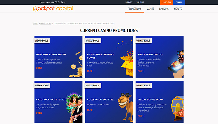 Best Uk Playluck casino No deposit Bonuses £5, ten, 15 and September 2024