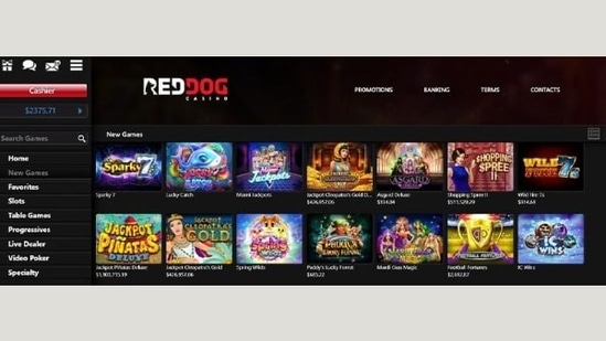 No-deposit Bonuses 2024 Free online Gambling establishment Extra Requirements