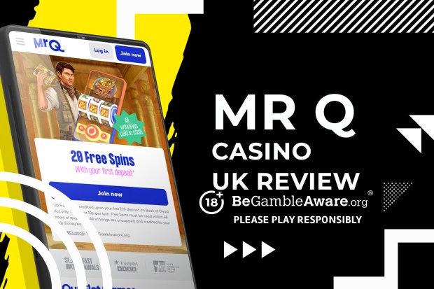 Play On the internet Roulette Games In the Mr Play Casino